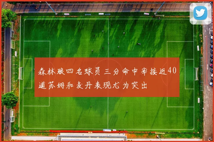 森林狼四名球员三分命中率接近40道苏姆和麦丹表现尤为突出