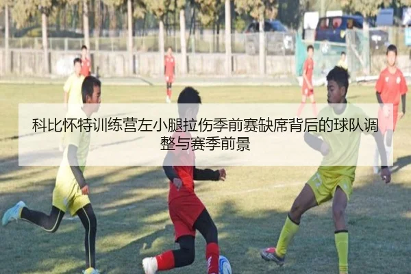 科比怀特训练营左小腿拉伤季前赛缺席背后的球队调整与赛季前景 - bandao